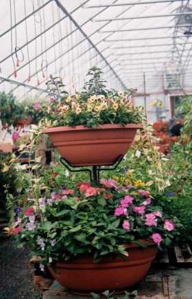 Special event super large, double-decker container garden