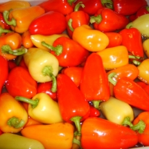 Grow your own peppers